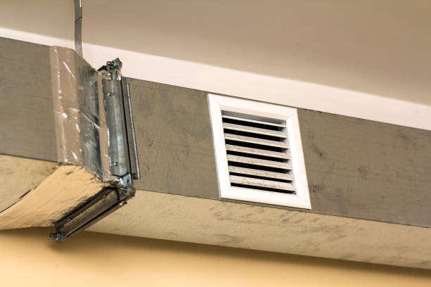 Air Duct Mold Removal in Whetstone, AZ